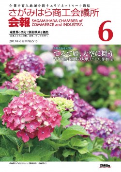 bulletin cover June 2017